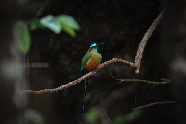 How to Effectively Incorporate Statement Belts into a Conservative Work Wardrobe?